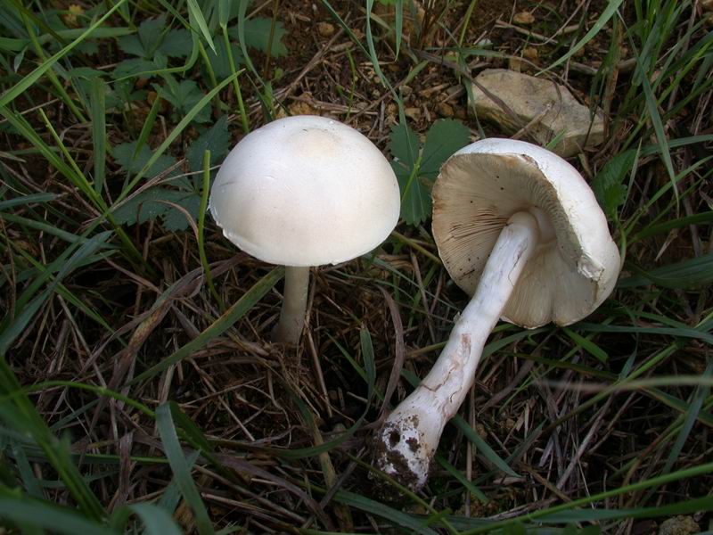 Ritrovamento di oggi....